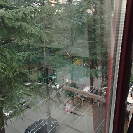 Apartment Ge Zvezda Batumi Exteriér fotografie